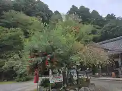 金剛院(京都府)