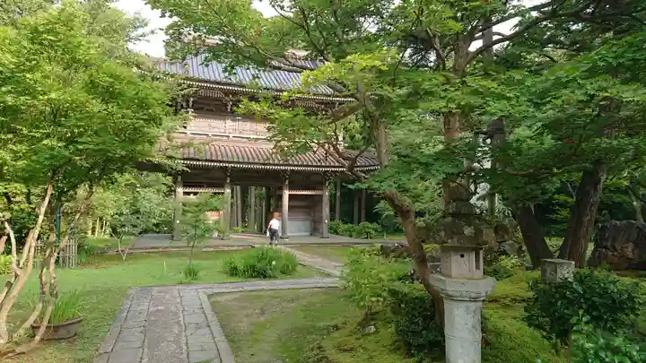 林泉寺の庭園