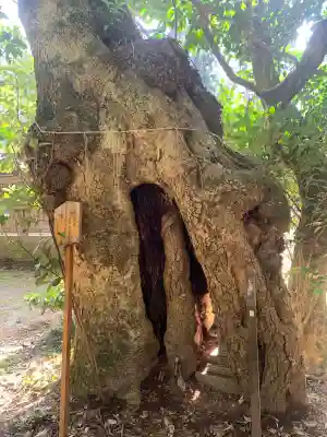 倭文神社(鳥取県)