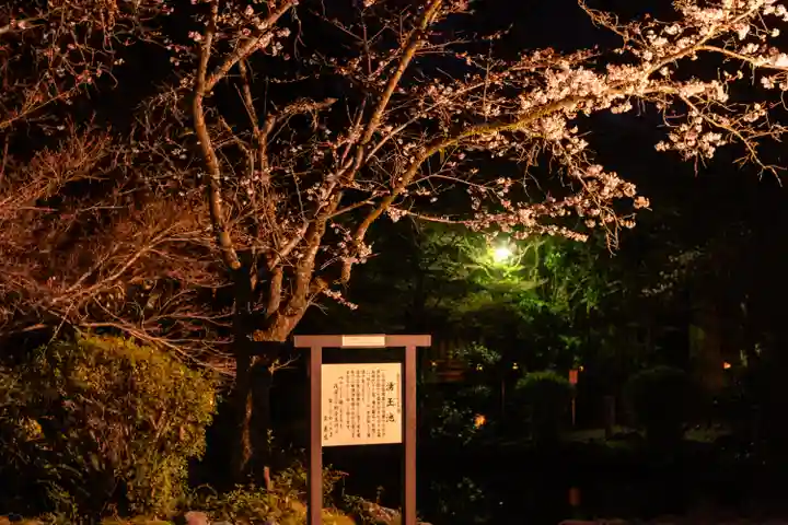 富士山本宮浅間大社(静岡県)