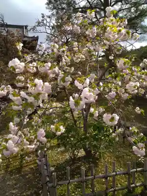仁和寺(京都府)