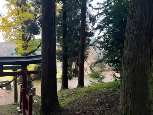 大宮温泉神社(栃木県)