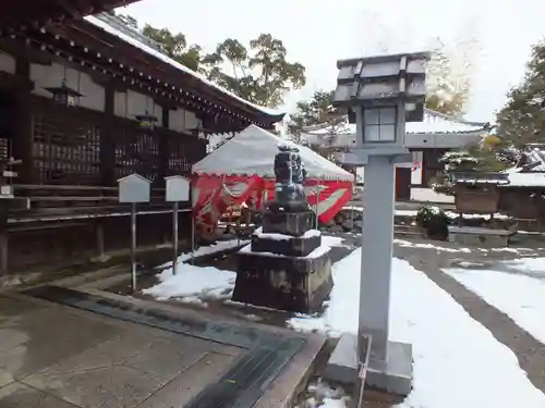 兵主大社の狛犬