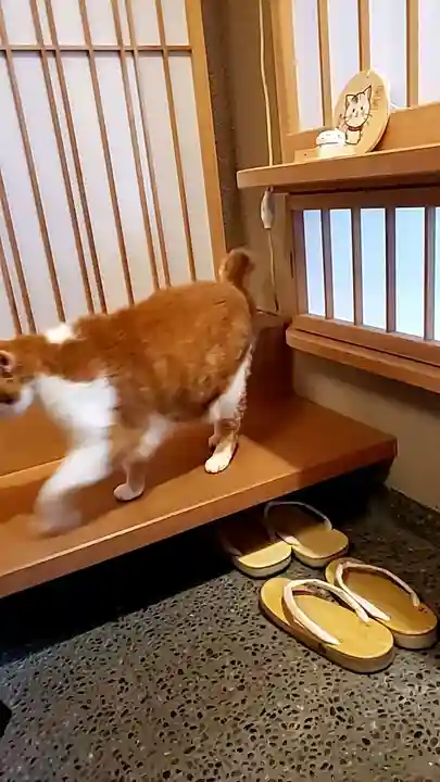 五十稲荷神社(栄寿稲荷神社)(東京都)