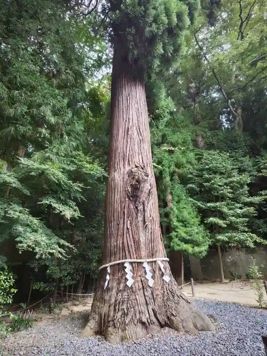 鹿嶋神社(福島県)