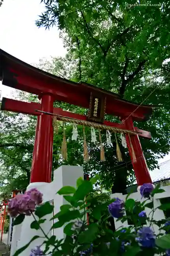 塚越稲荷神社の鳥居