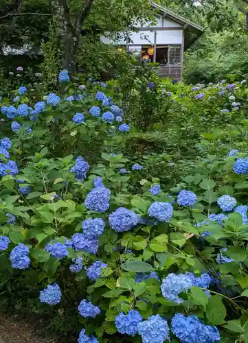 三千院門跡(京都府)