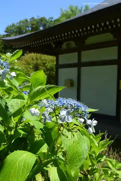 天台宗 長窪山 正覚寺(神奈川県)