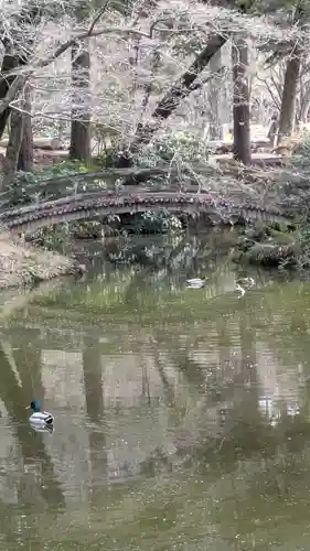 半木神社（賀茂別雷神社境外末社）(京都府)