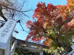 大甕神社の鳥居