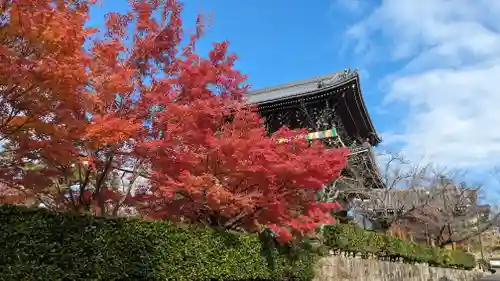 くろ谷 金戒光明寺(京都府)