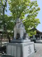 寒川神社の狛犬