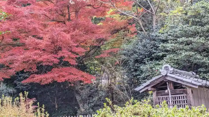 浄住寺(京都府)