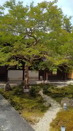 吸湖山　青岸寺の庭園