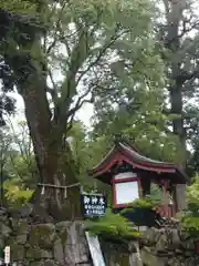 鹿児島神宮(鹿児島県)