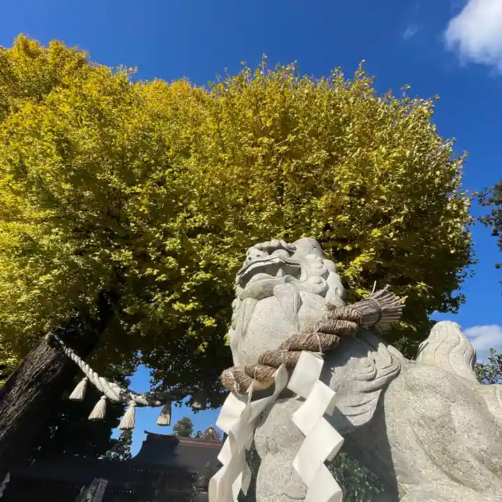 亀ケ池八幡宮(神奈川県)