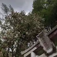 亀峰山平成院のその他建物