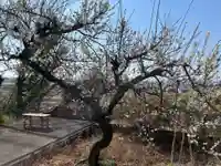 當選寺(埼玉県)