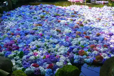 楽法寺（雨引観音）(茨城県)