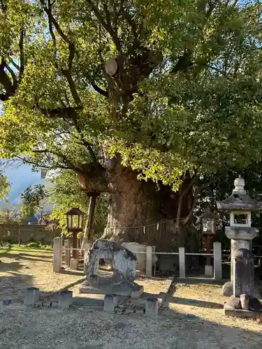 新田白山神社(愛知県)