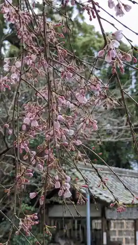 大豊神社(京都府)