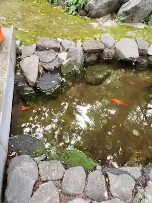 熊野神社(東京都)