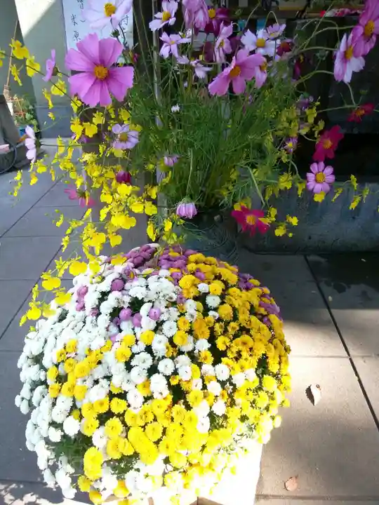 戸越八幡神社(東京都)