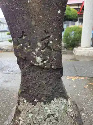 浅間大神(神奈川県)