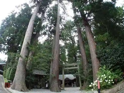 御杖神社の鳥居