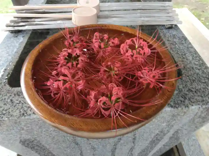 横浜 西方寺(神奈川県)