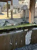 永平寺別院長谷寺(東京都)