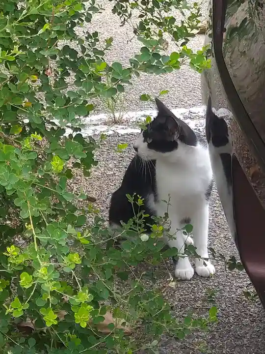 鴻八幡宮の周辺