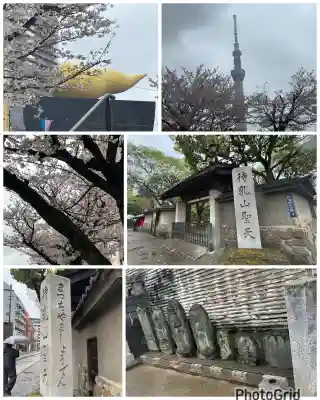 待乳山聖天（本龍院）の{uncategorized: "未分類", other: "その他", undefined: "問題あり", building: "その他建物", grave: "お墓", sacred_gate: "鳥居", guardian: "狛犬", statue: "像", buddha: "仏像", history: "歴史", nature: "自然", garden: "庭園", animal: "動物", pagoda: "塔", temizu: "手水舎", mountain_gate: "山門・神門", sanctuary: "本殿・本堂", subordinate: "末社・摂社", art: "芸術", scenery: "景色", jizo: "地蔵", ema: "絵馬", goshuin: "御朱印", omikuji: "おみくじ", items: "授与品その他", amulet: "お守り", goshuincho: "御朱印帳", eats: "食事", festival: "お祭り", votive_dance: "神楽", shichigosan: "七五三参", wedding: "結婚式", experience: "体験その他", initially: "初詣", around: "周辺", anti_infection: "感染症対策"}