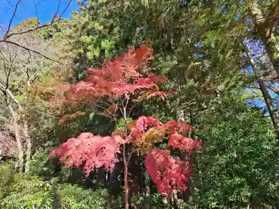 室生寺(奈良県)