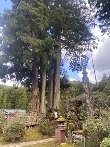 金剛三昧院(和歌山県)