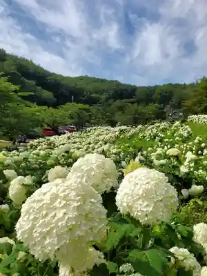 陽林寺(福島県)
