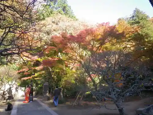 妙本寺の庭園