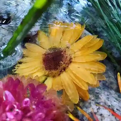 滑川神社 - 仕事と子どもの守り神の手水舎