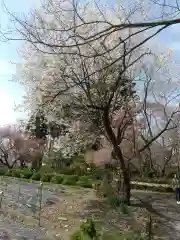 伊佐須美神社(福島県)