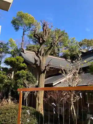 出雲大社相模分祠(神奈川県)