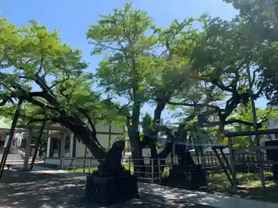 豊受神社(千葉県)