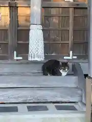 東耀稲荷神社の動物