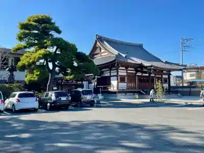 善応寺の{uncategorized: "未分類", other: "その他", undefined: "問題あり", building: "その他建物", grave: "お墓", sacred_gate: "鳥居", guardian: "狛犬", statue: "像", buddha: "仏像", history: "歴史", nature: "自然", garden: "庭園", animal: "動物", pagoda: "塔", temizu: "手水舎", mountain_gate: "山門・神門", sanctuary: "本殿・本堂", subordinate: "末社・摂社", art: "芸術", scenery: "景色", jizo: "地蔵", ema: "絵馬", goshuin: "御朱印", omikuji: "おみくじ", items: "授与品その他", amulet: "お守り", goshuincho: "御朱印帳", eats: "食事", festival: "お祭り", votive_dance: "神楽", shichigosan: "七五三参", wedding: "結婚式", experience: "体験その他", initially: "初詣", around: "周辺", anti_infection: "感染症対策"}