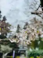 守りの神 藤基神社の自然
