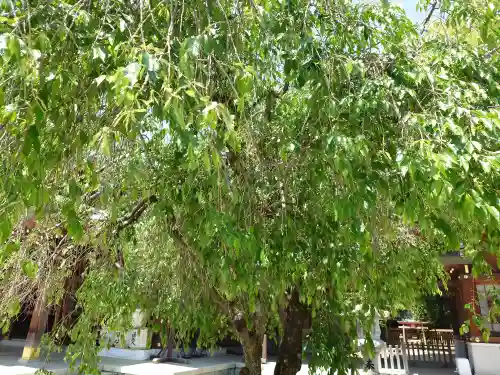 速谷神社(広島県)