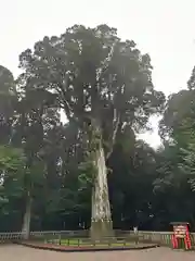 霧島神宮(鹿児島県)