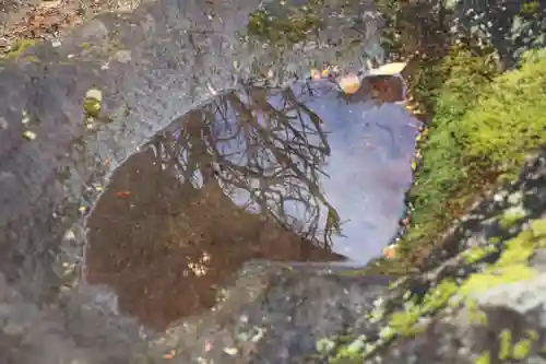 大鏑神社の手水