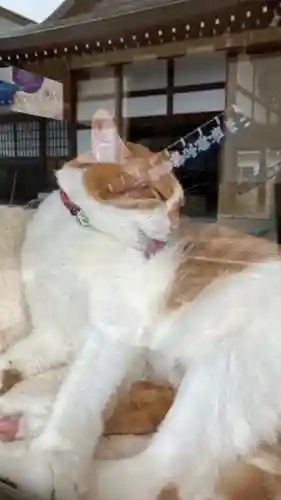 伊勢神社(岡山県)