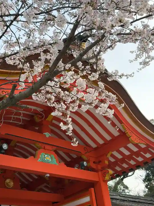 石清水八幡宮の{uncategorized: "未分類", other: "その他", undefined: "問題あり", building: "その他建物", grave: "お墓", sacred_gate: "鳥居", guardian: "狛犬", statue: "像", buddha: "仏像", history: "歴史", nature: "自然", garden: "庭園", animal: "動物", pagoda: "塔", temizu: "手水舎", mountain_gate: "山門・神門", sanctuary: "本殿・本堂", subordinate: "末社・摂社", art: "芸術", scenery: "景色", jizo: "地蔵", ema: "絵馬", goshuin: "御朱印", omikuji: "おみくじ", items: "授与品その他", amulet: "お守り", goshuincho: "御朱印帳", eats: "食事", festival: "お祭り", votive_dance: "神楽", shichigosan: "七五三参", wedding: "結婚式", experience: "体験その他", initially: "初詣", around: "周辺", anti_infection: "感染症対策"}