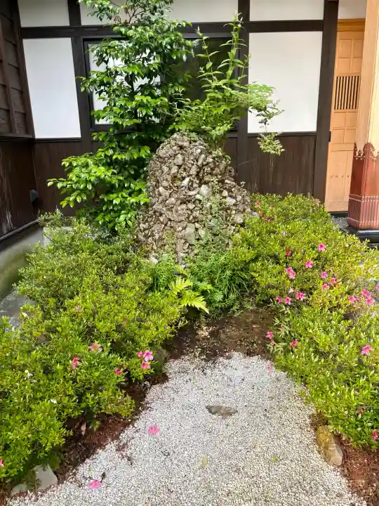 御誕生寺(猫寺)(福井県)